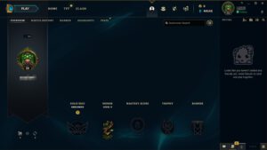 lol account kaufen dein profil nach dem login in euw